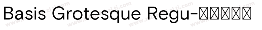 Basis Grotesque Regu字体转换